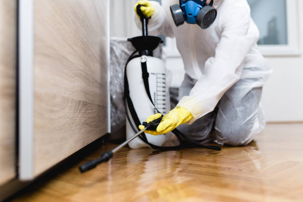 Pest Prevention Services in Olivette, MO