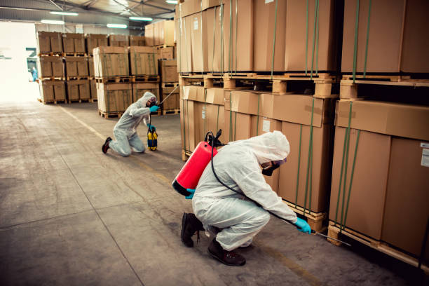 Best Affordable Pest Control Services  in Olivette, MO