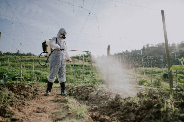 Best Pest Prevention Services  in Olivette, MO