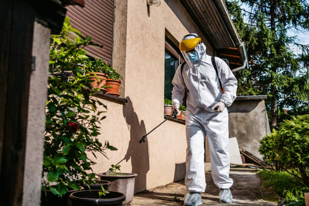 Best Local Pest Control Services  in Olivette, MO