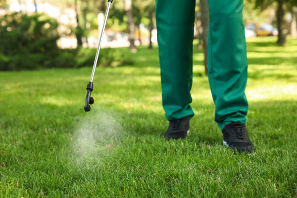 Best Pest Control Near Me in Olivette, MO