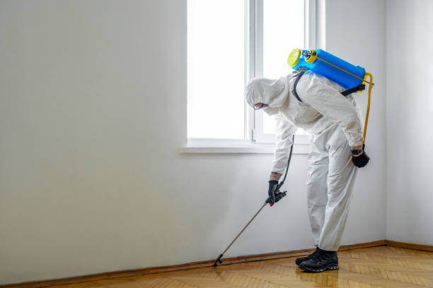 Best Pest Prevention Services  in Olivette, MO