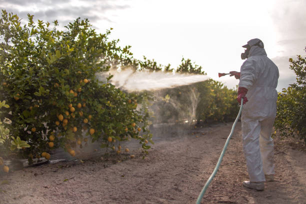 Pest Control Cost in Olivette, MO