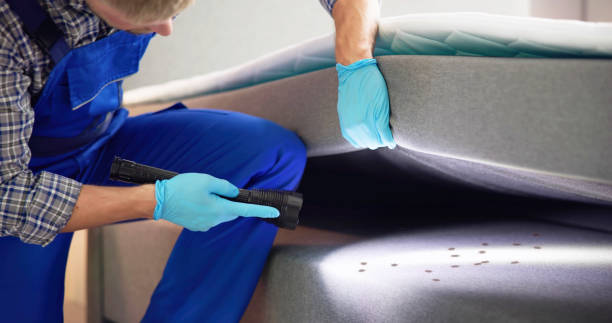 Best Residential Pest Control  in Olivette, MO