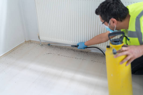 Best Pest Removal Services  in Olivette, MO